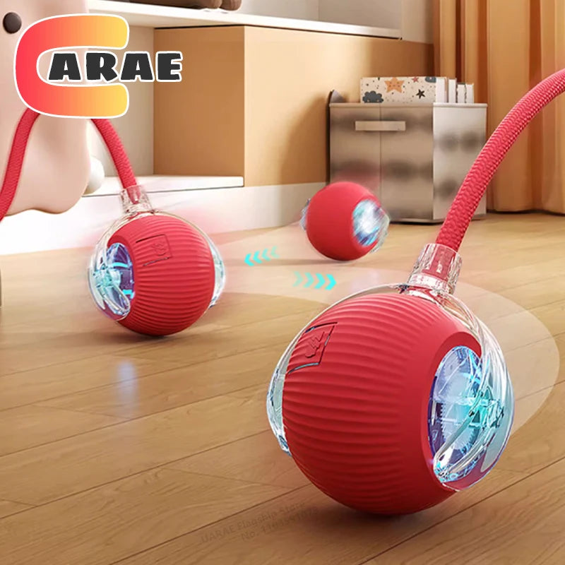 The Smart Balls & Chasers for pets