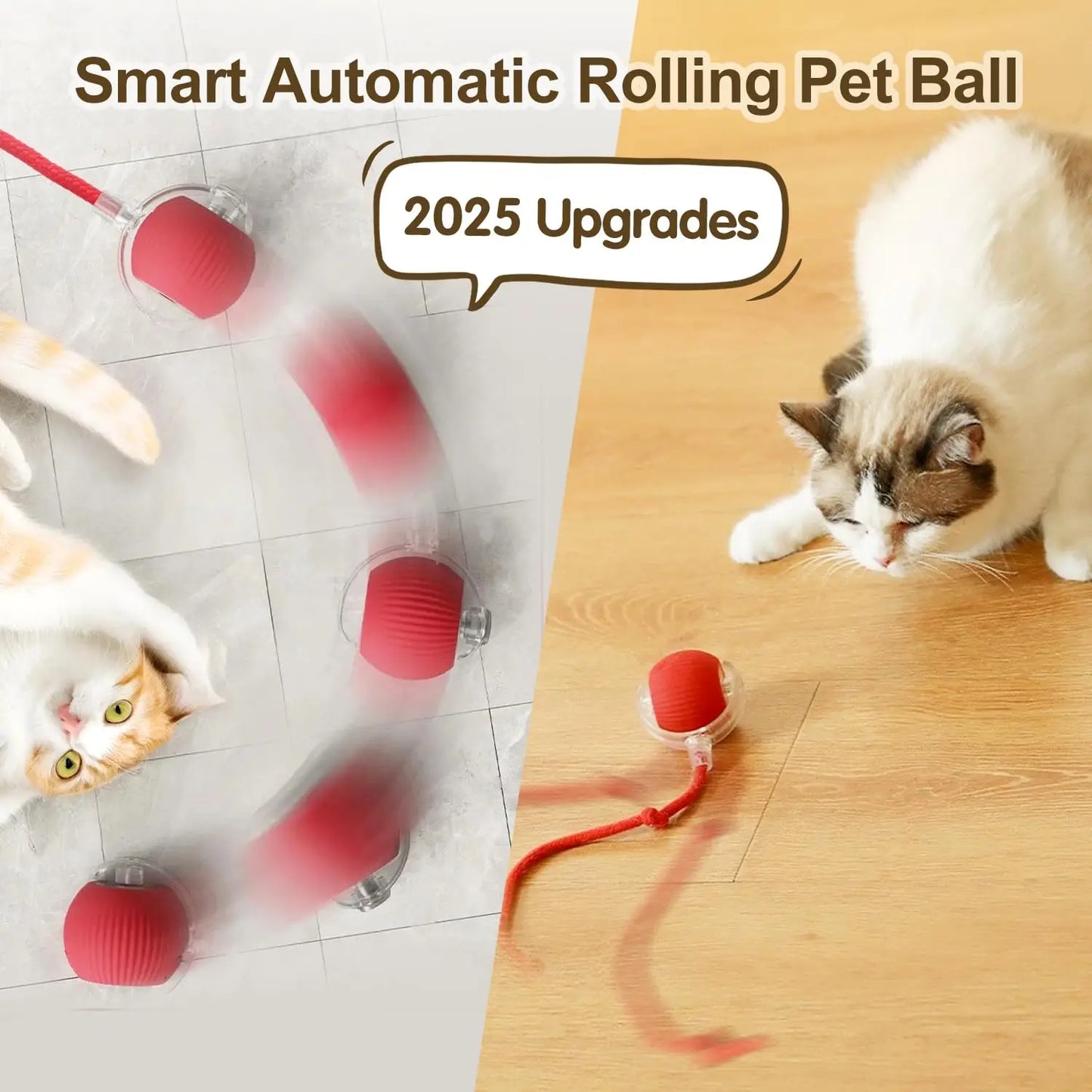 The Smart Balls & Chasers for pets