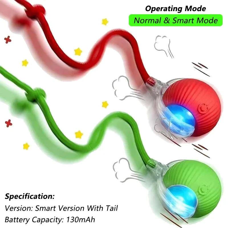 The Smart Balls & Chasers for pets