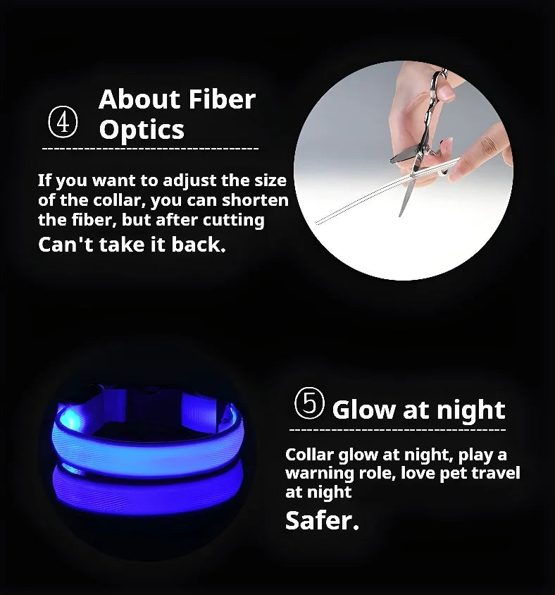GlowPup™ LED Safety Dog Collar – Be Seen, Be Safe at Night! 🐶💡