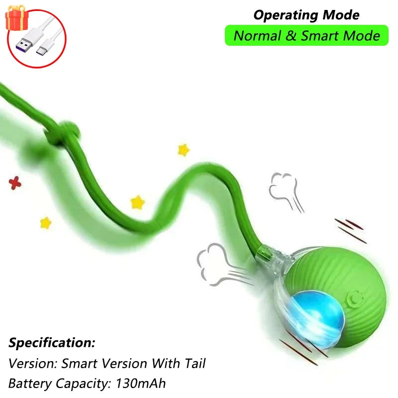The Smart Balls & Chasers for pets