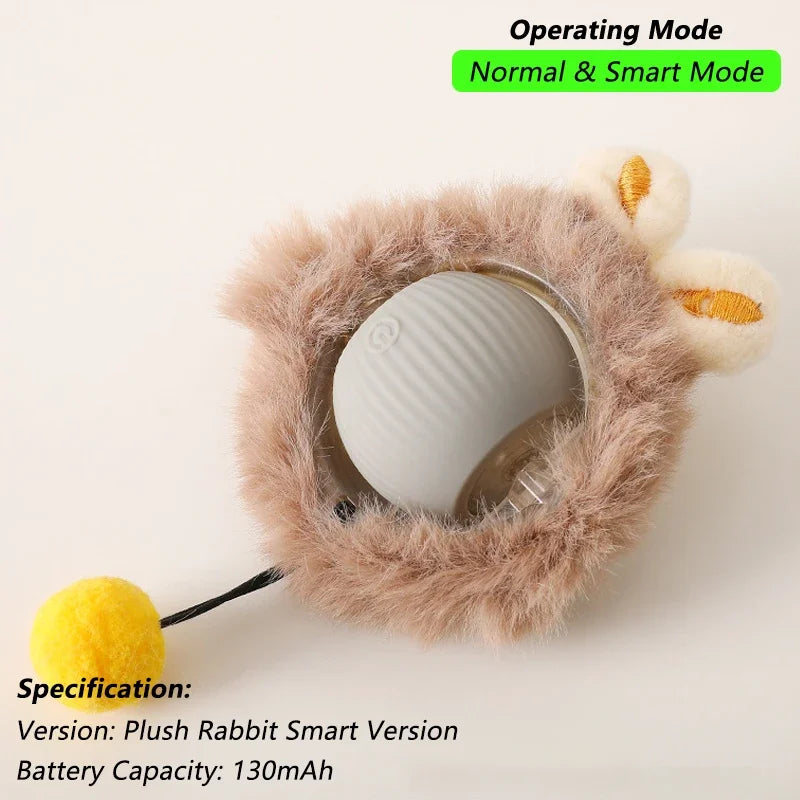 The Smart Balls & Chasers for pets