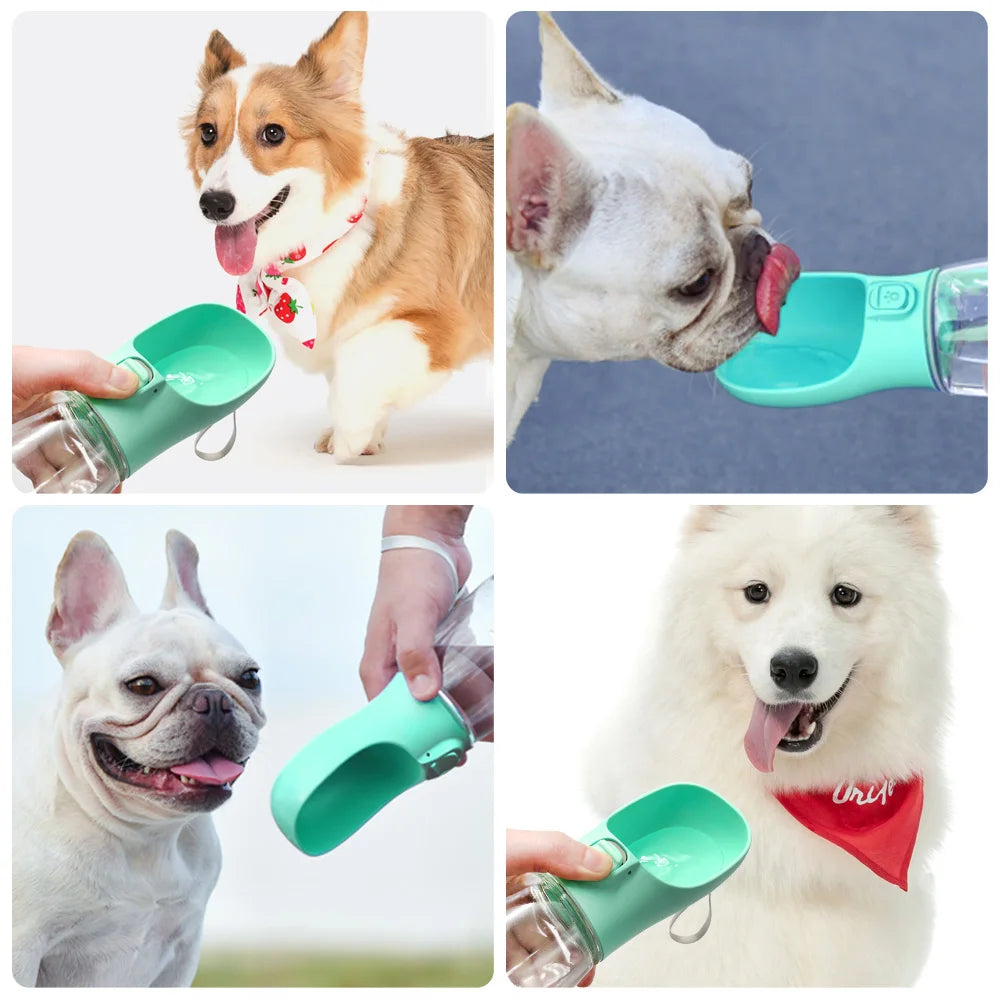 All-in-One Pet Drinking Bottle for Walks