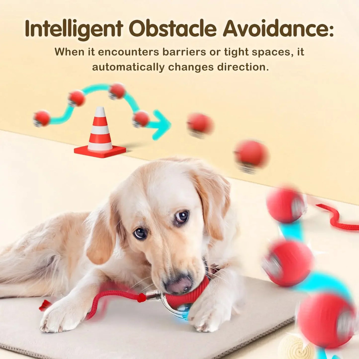 The Smart Balls & Chasers for pets