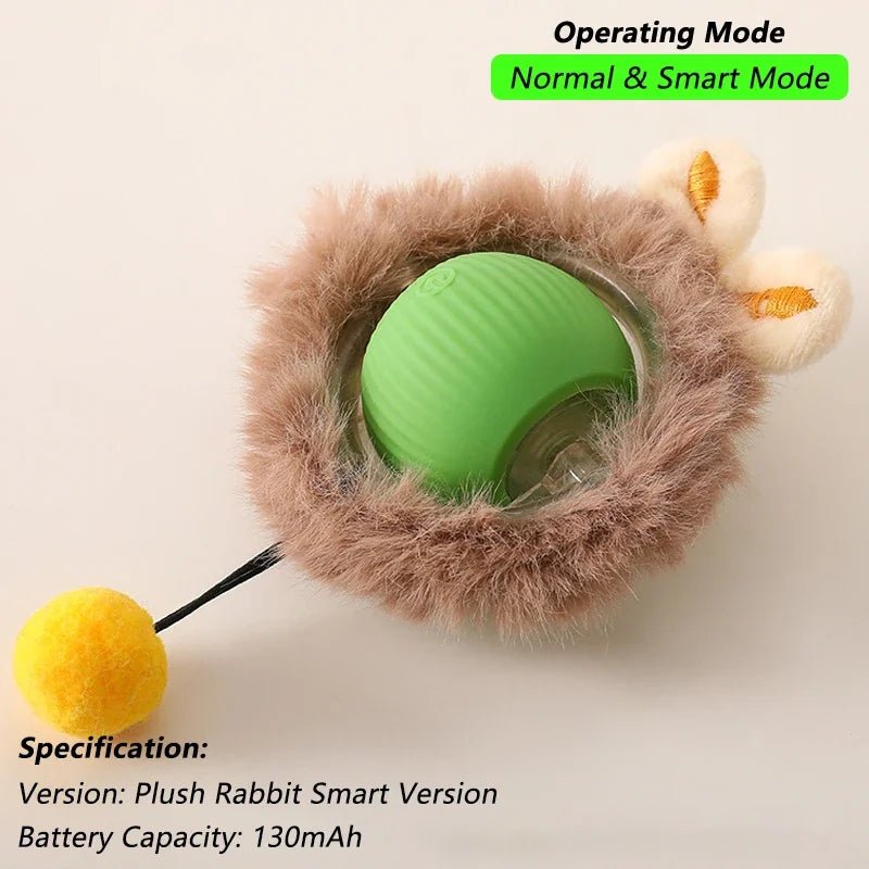 The Smart Balls & Chasers for pets