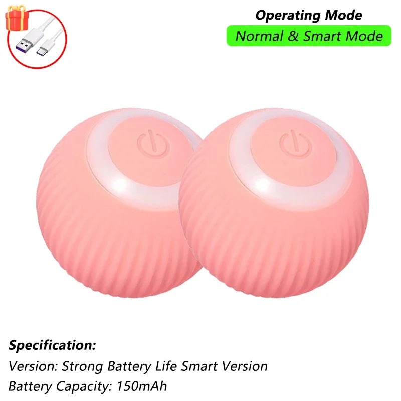 The Smart Balls & Chasers for pets