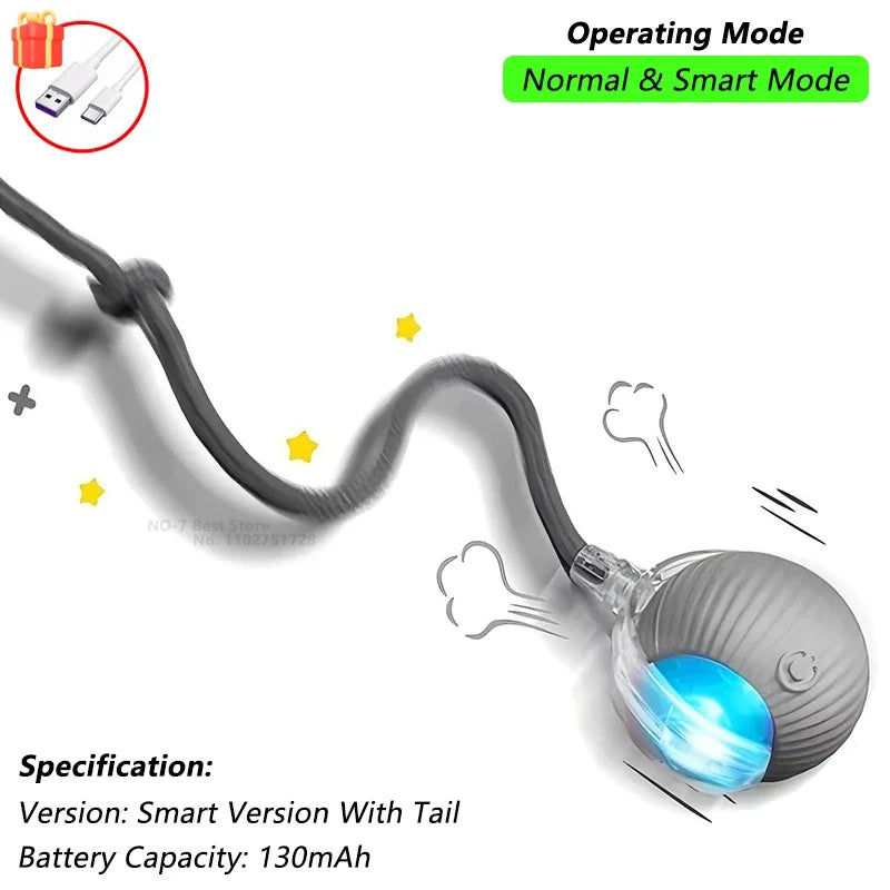 The Smart Balls & Chasers for pets