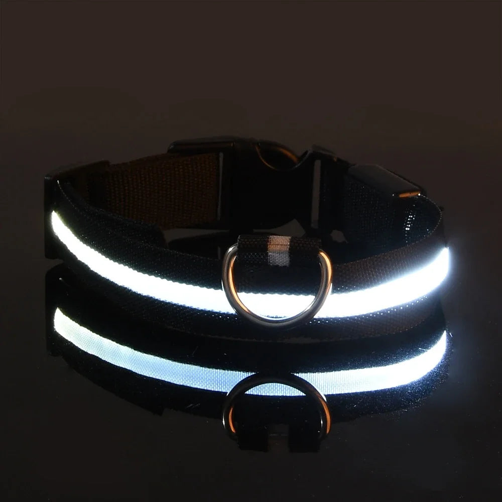 GlowPup™ LED Safety Dog Collar – Be Seen, Be Safe at Night! 🐶💡