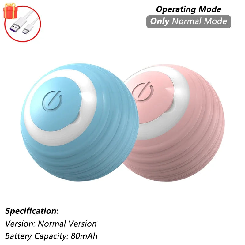The Smart Balls & Chasers for pets