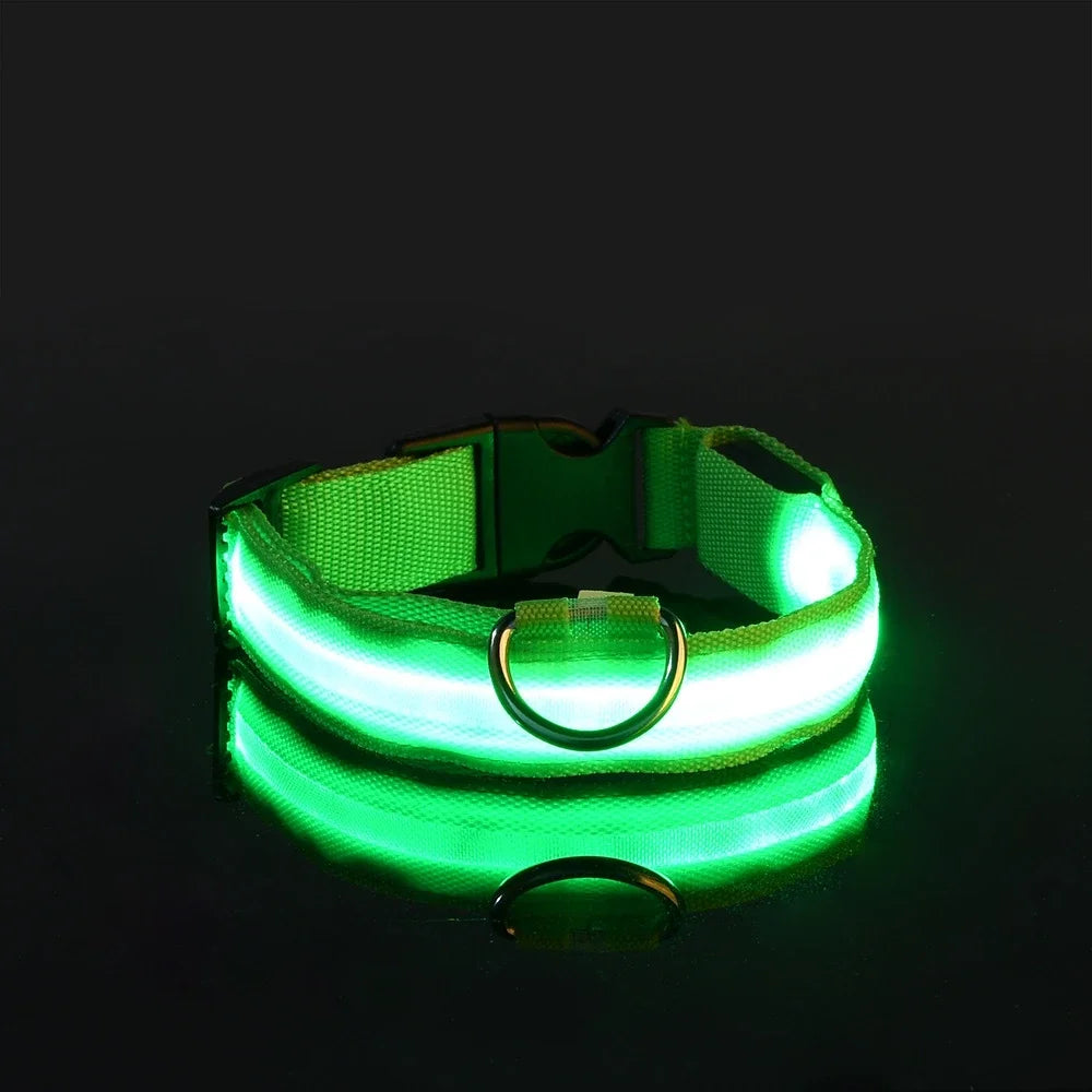 GlowPup™ LED Safety Dog Collar – Be Seen, Be Safe at Night! 🐶💡