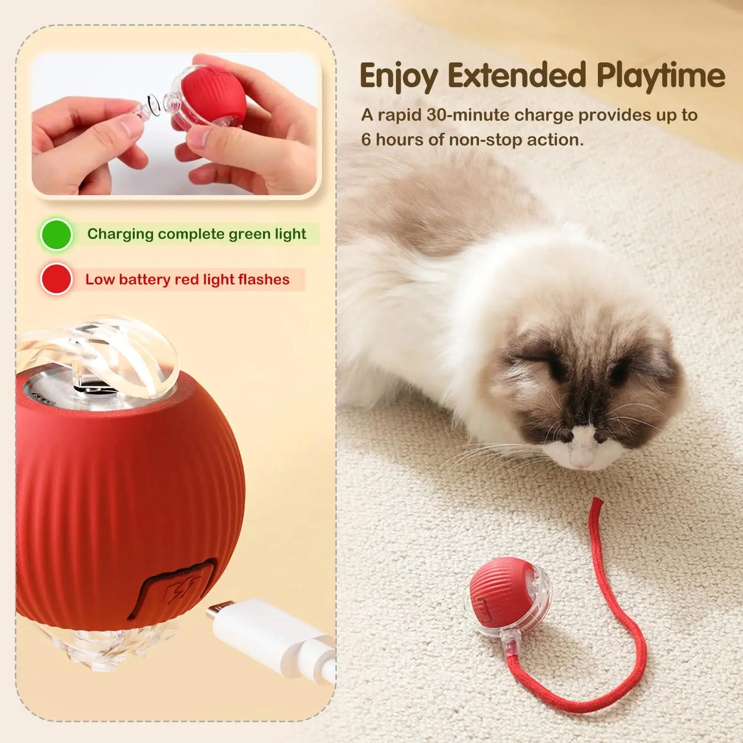 The Smart Balls & Chasers for pets