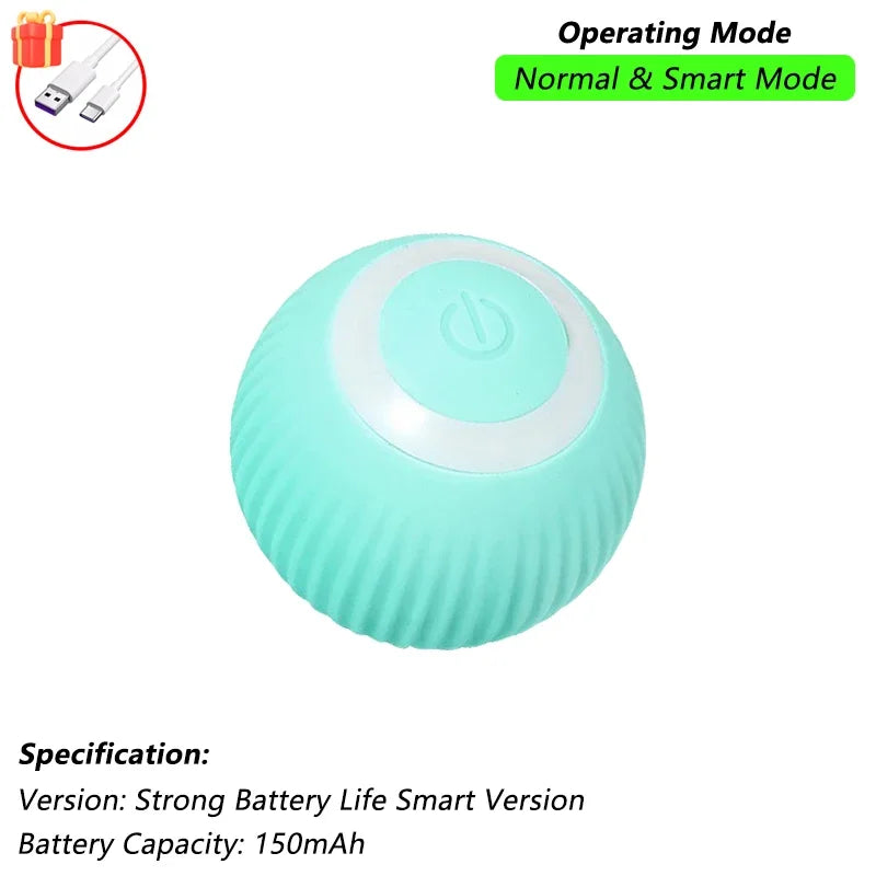 The Smart Balls & Chasers for pets