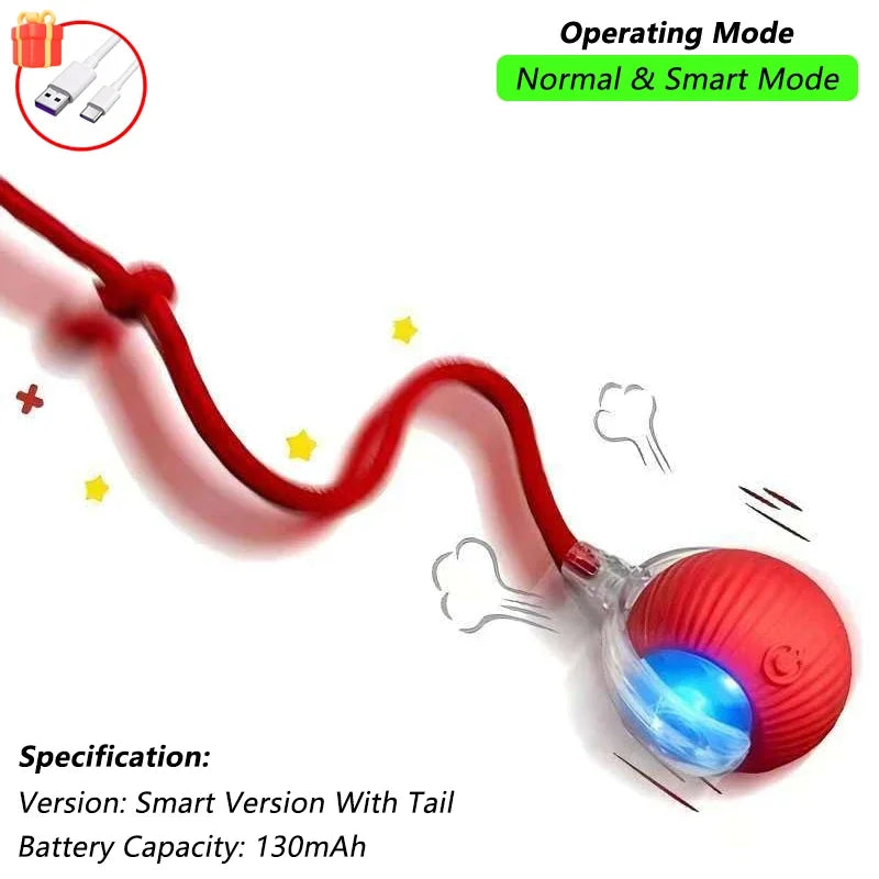 The Smart Balls & Chasers for pets