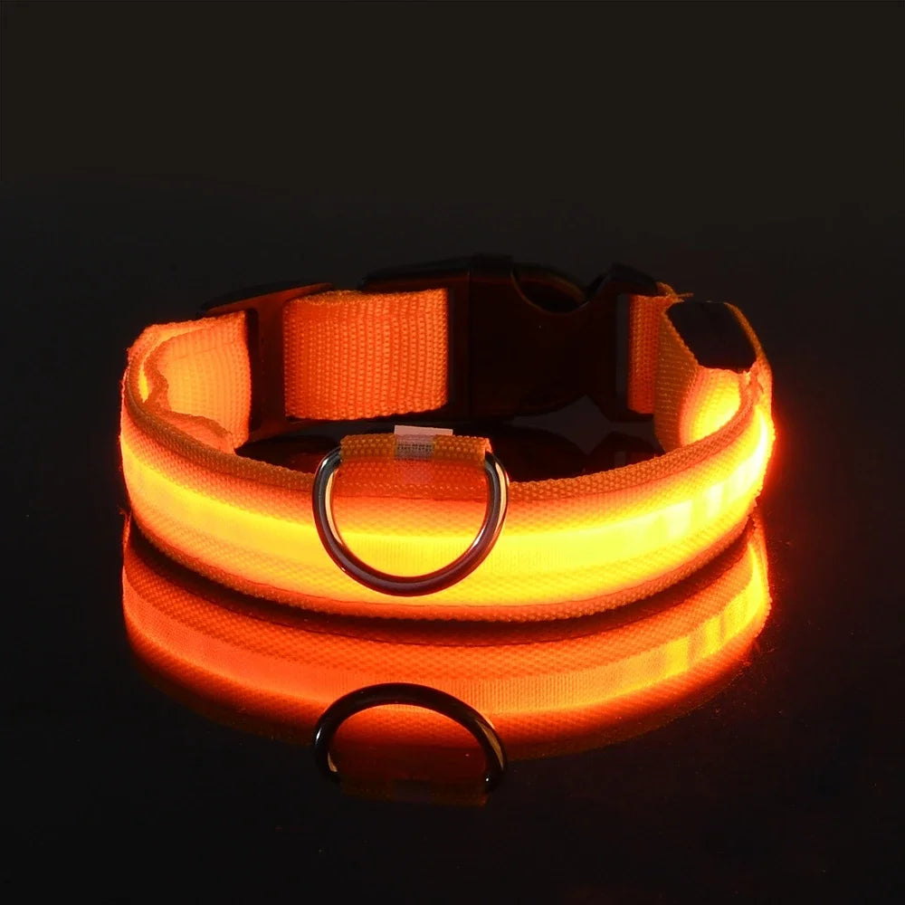 GlowPup™ LED Safety Dog Collar – Be Seen, Be Safe at Night! 🐶💡