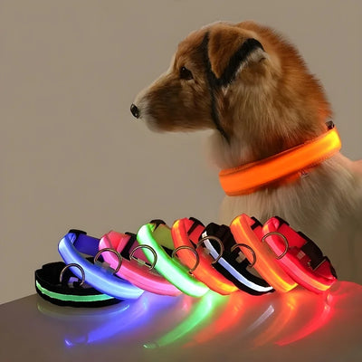 GlowPup™ LED Safety Dog Collar – Be Seen, Be Safe at Night! 🐶💡