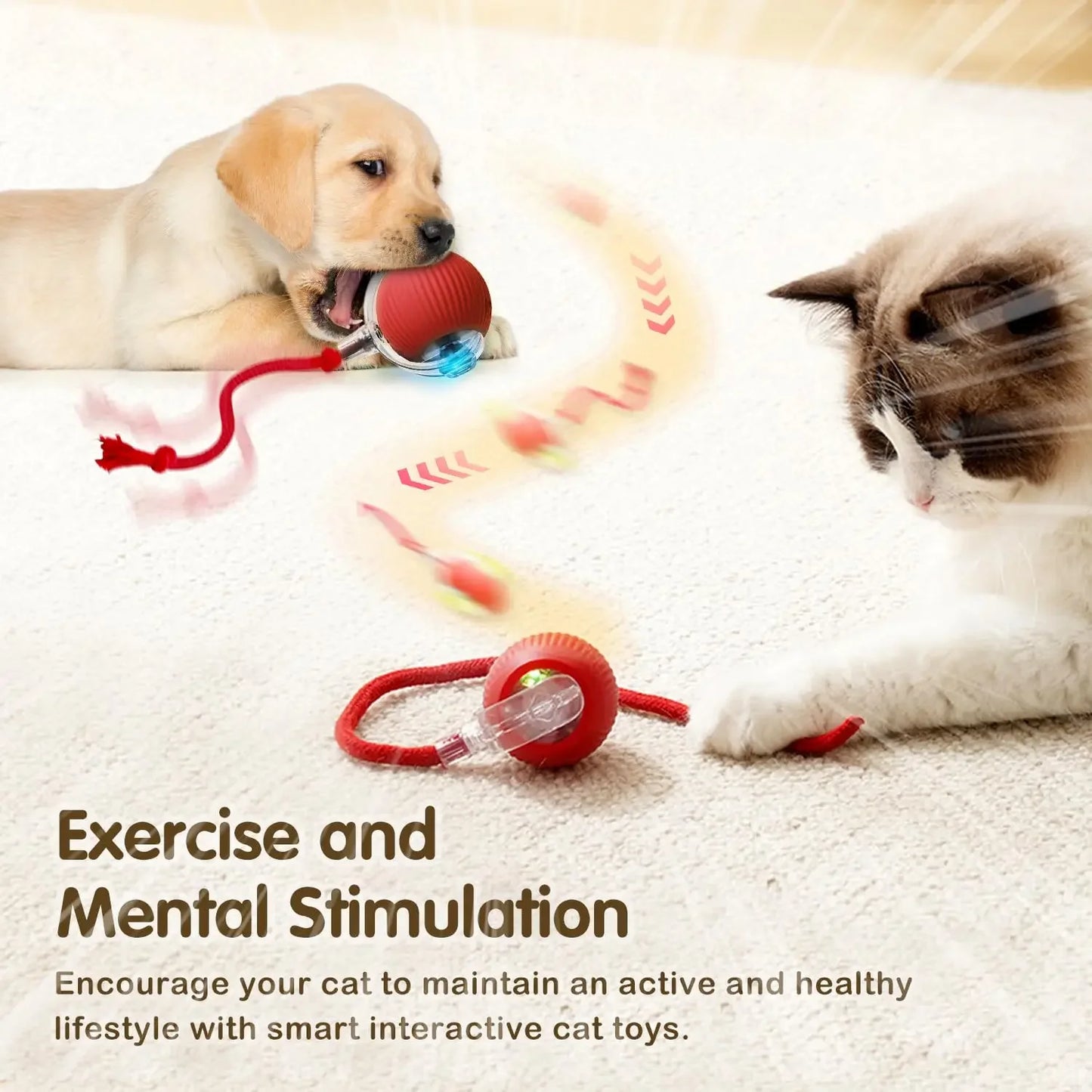 The Smart Balls & Chasers for pets