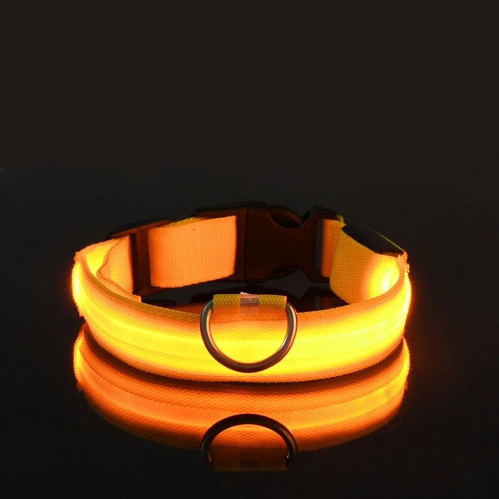 GlowPup™ LED Safety Dog Collar – Be Seen, Be Safe at Night! 🐶💡