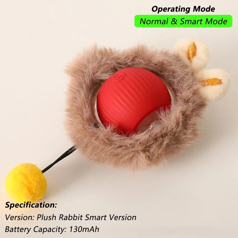 The Smart Balls & Chasers for pets