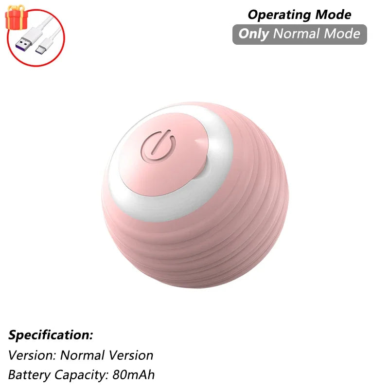 The Smart Balls & Chasers for pets