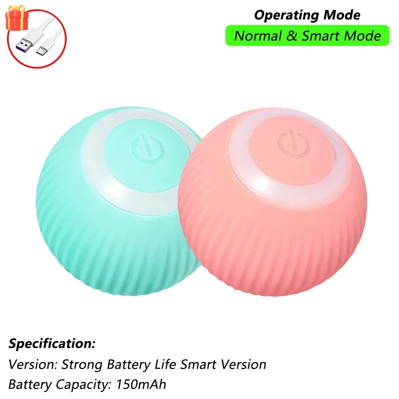 The Smart Balls & Chasers for pets
